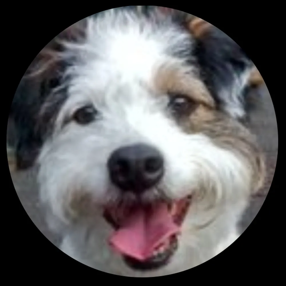 missfairhurst.bsky.social's profile picture