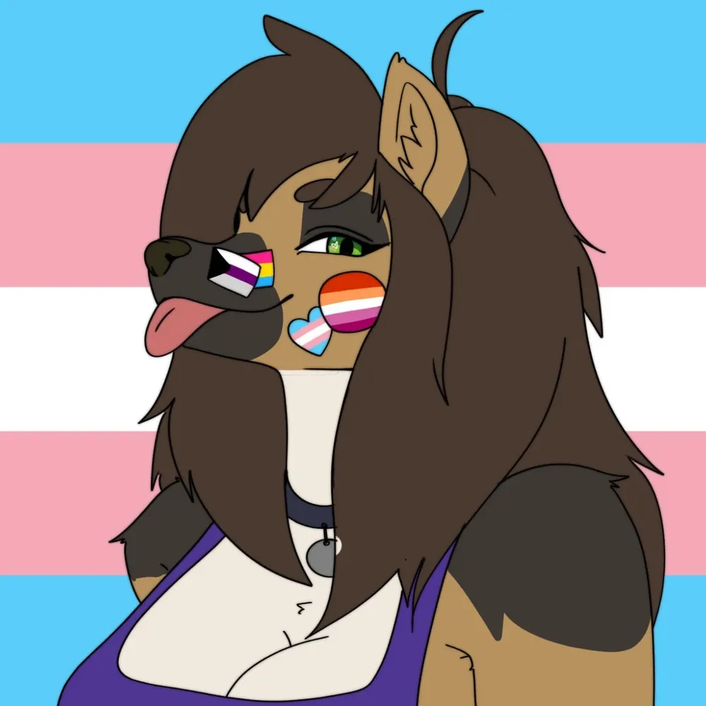 kdurmeter.bsky.social's profile picture