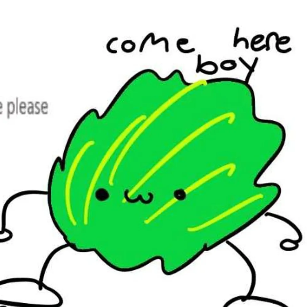 sdg1.bsky.social's profile picture