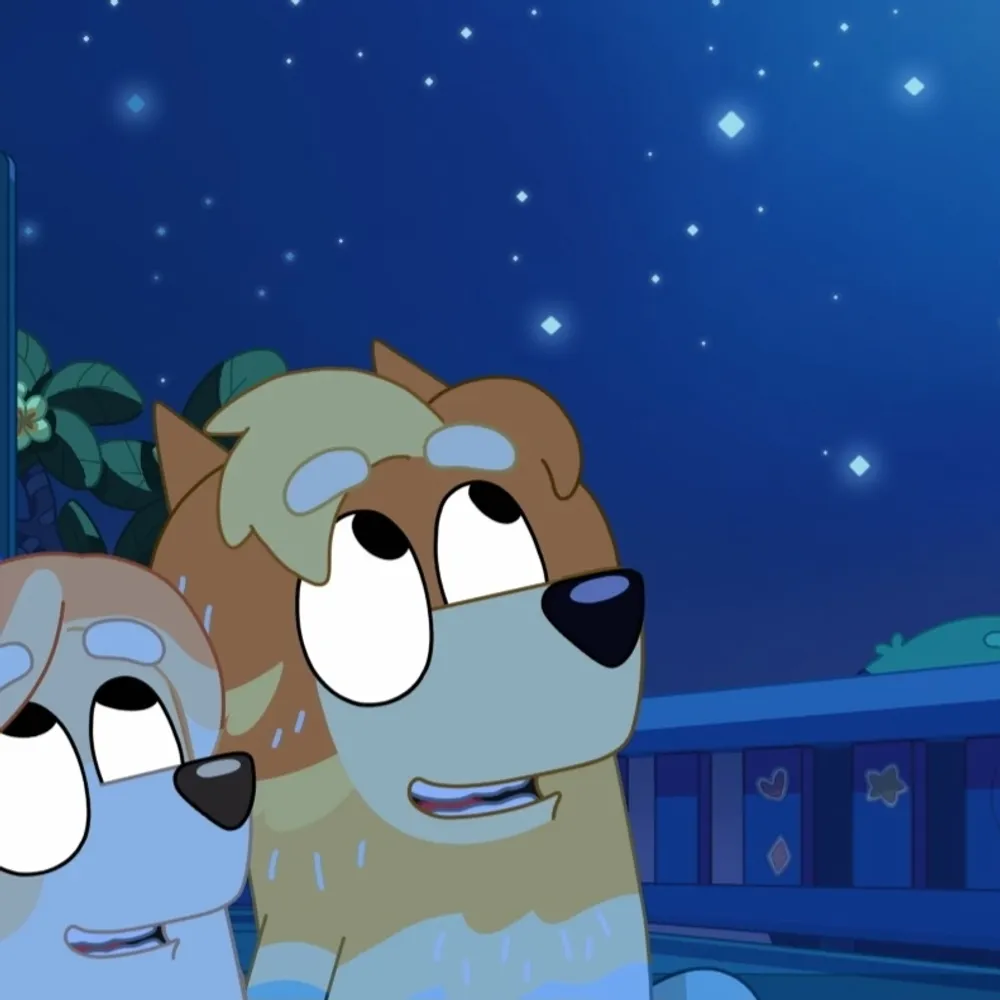 raduncle.bsky.social's profile picture