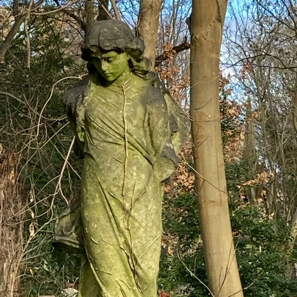 bethanangharadl.bsky.social's profile picture