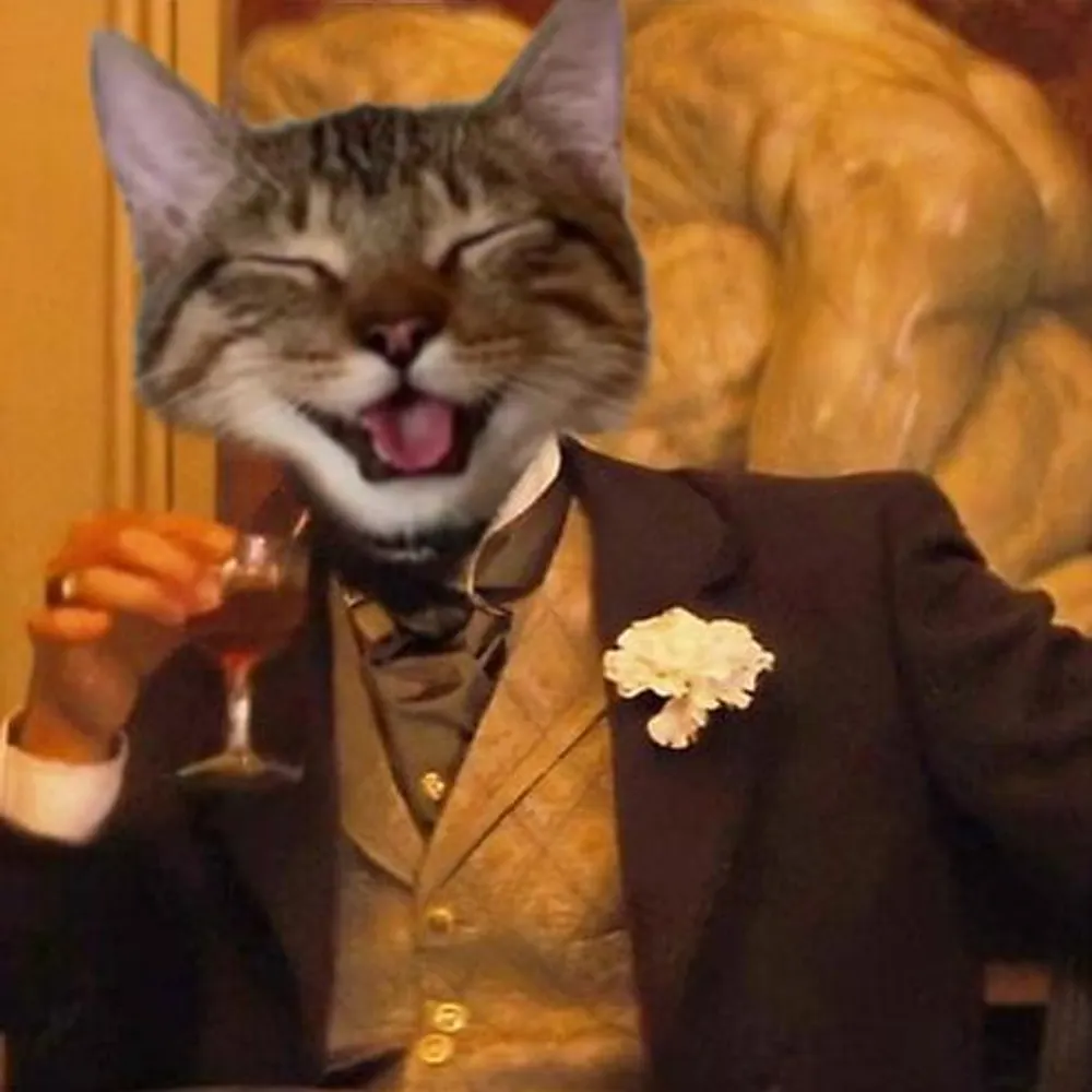 spiffygiffy.bsky.social's profile picture