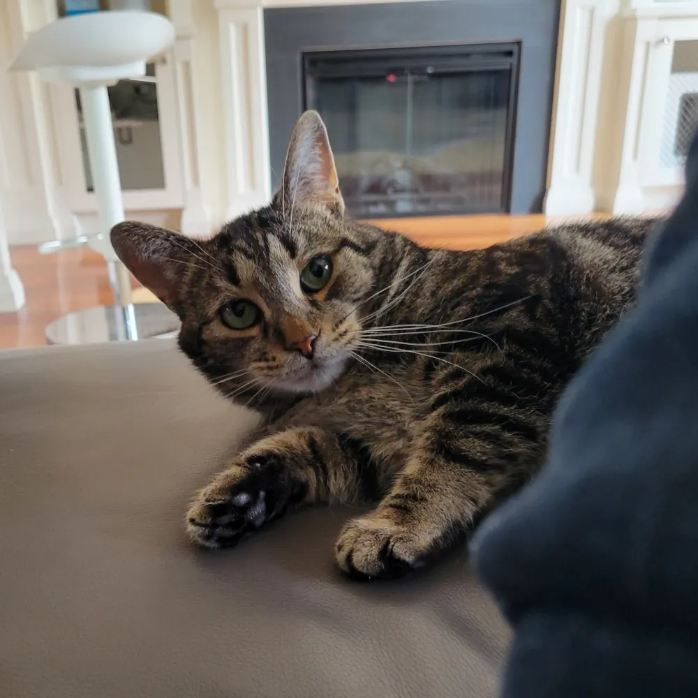 thekert1.bsky.social's profile picture