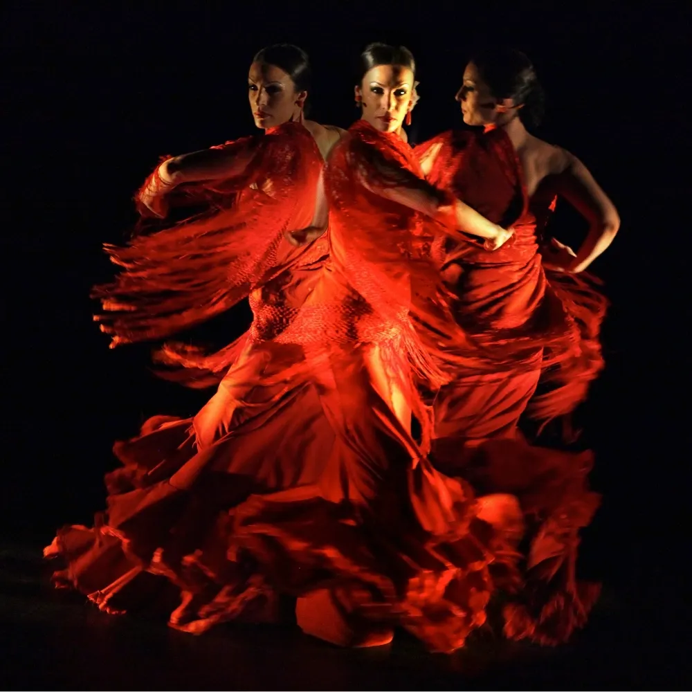 marterlor.bsky.social's profile picture