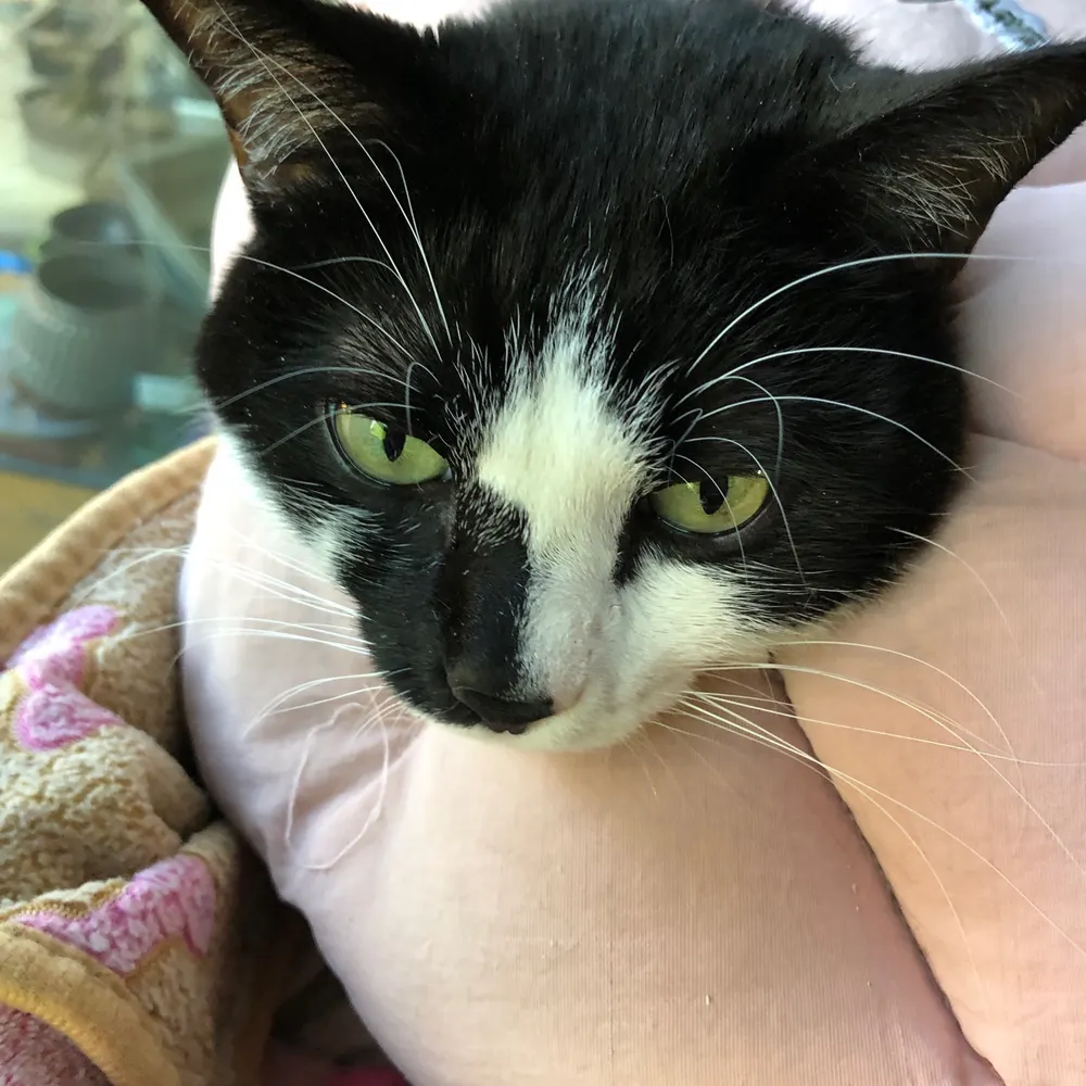 sundeacomba.bsky.social's profile picture