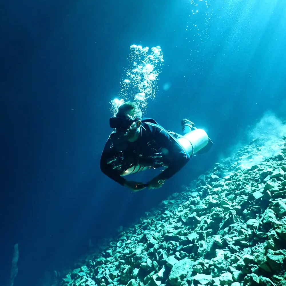 porcoesphino.bsky.social's profile picture