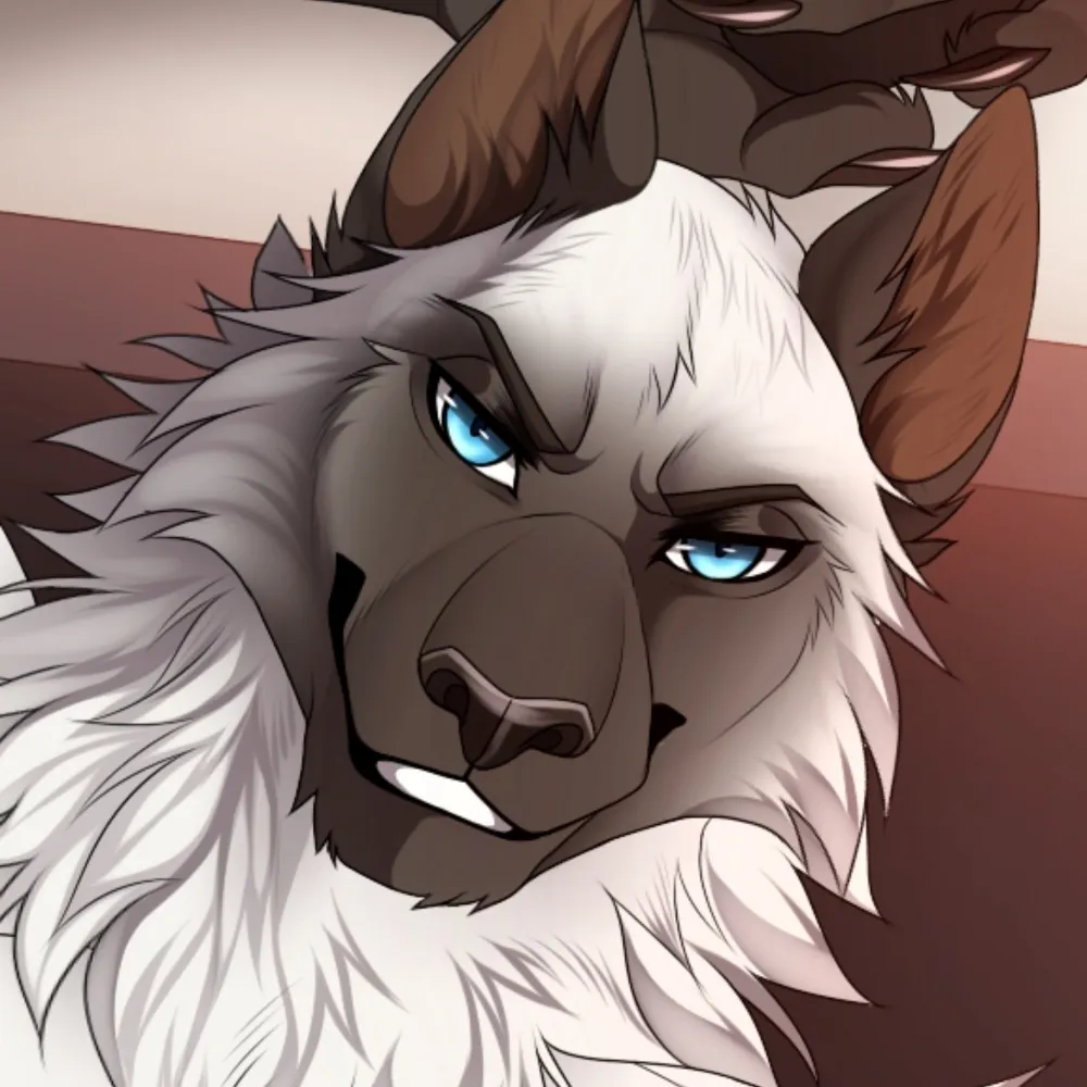 dustafyer.bsky.social's profile picture