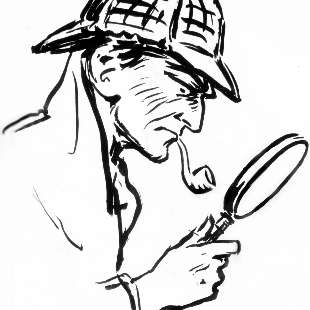 onlinedetective.bsky.social's profile picture