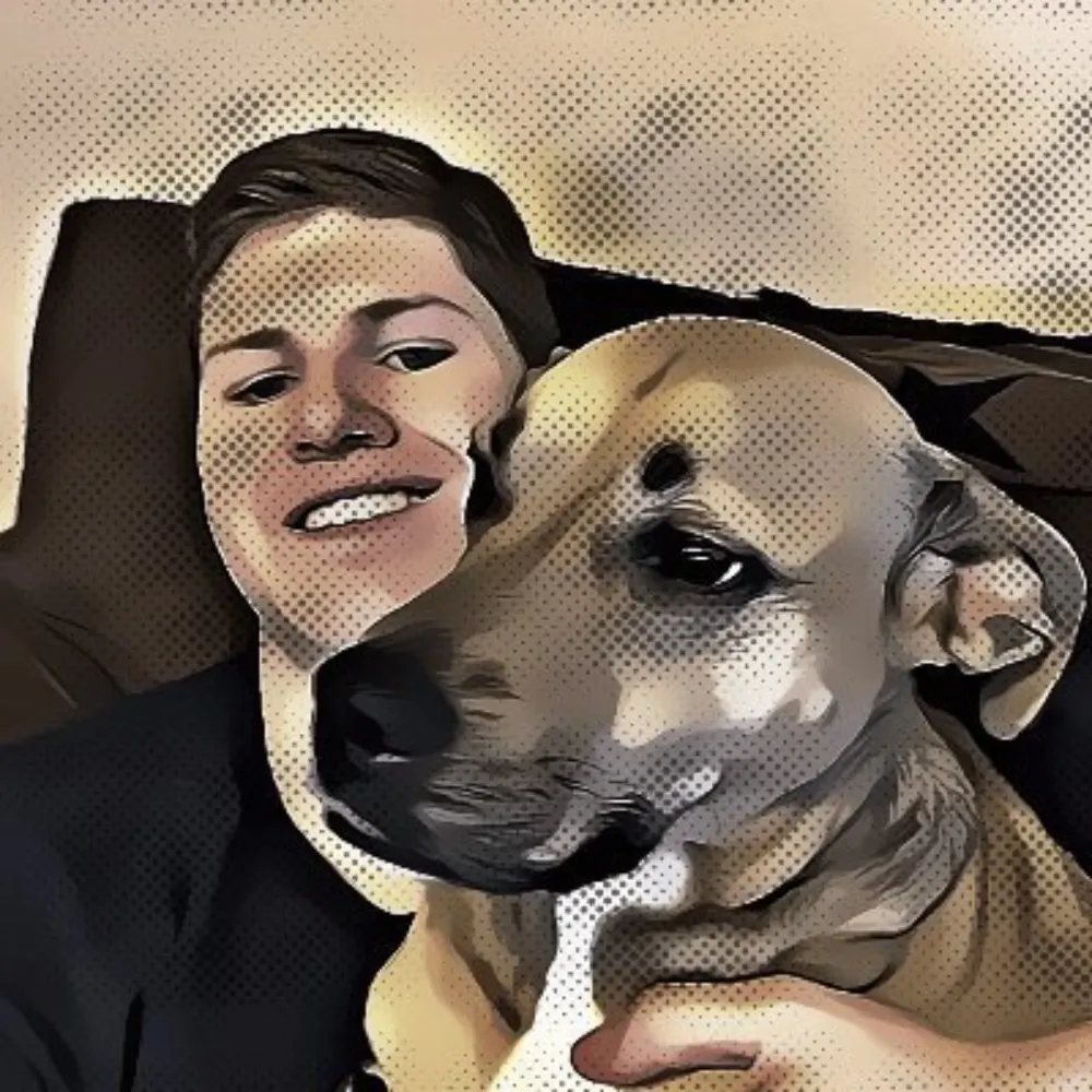 ereller.bsky.social's profile picture