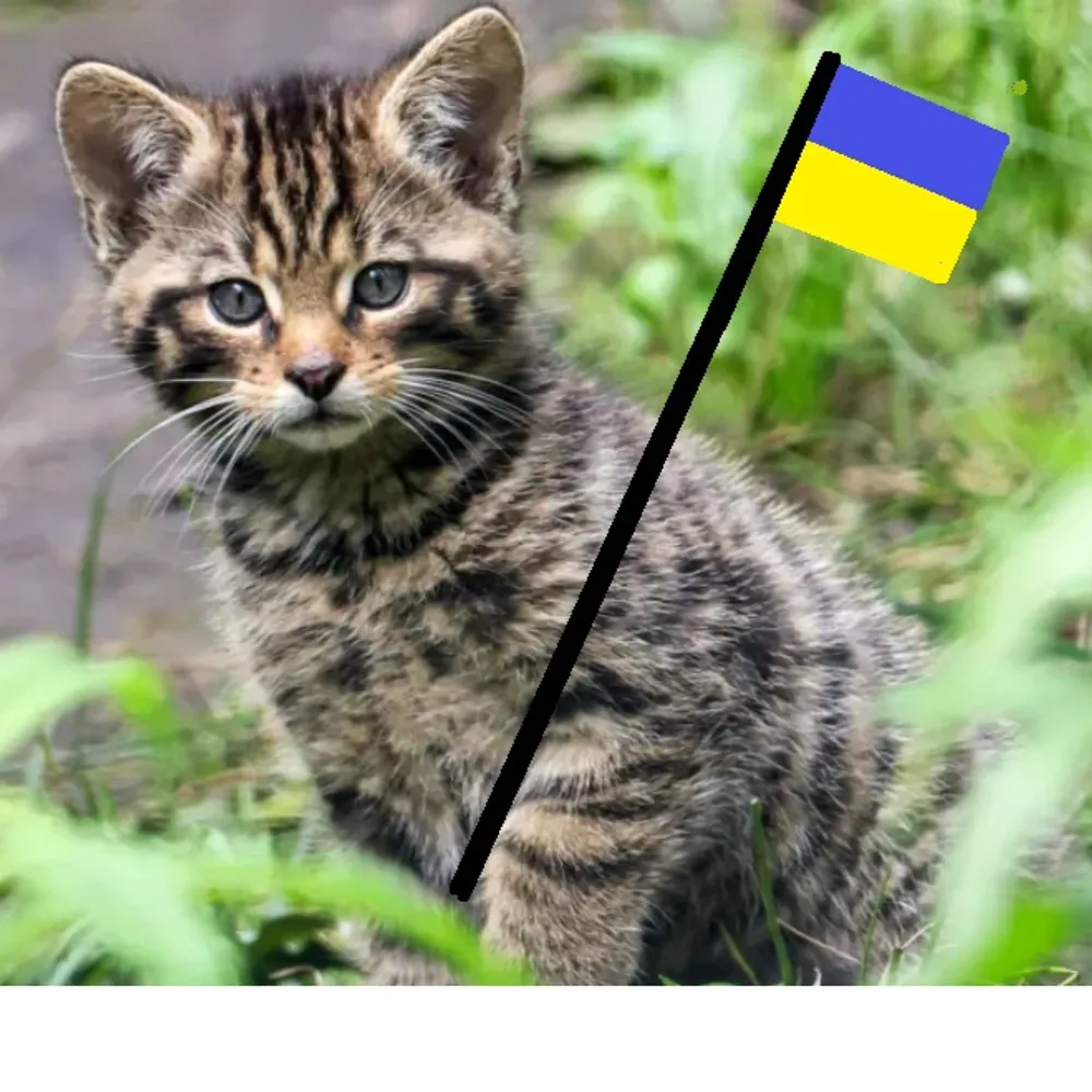 sig321.bsky.social's profile picture