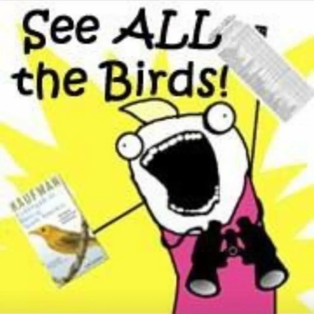 birderk.bsky.social's profile picture