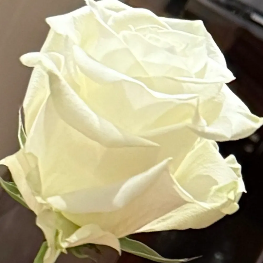 babeaware07.bsky.social's profile picture