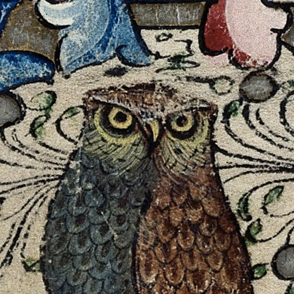 isbi.bsky.social's profile picture