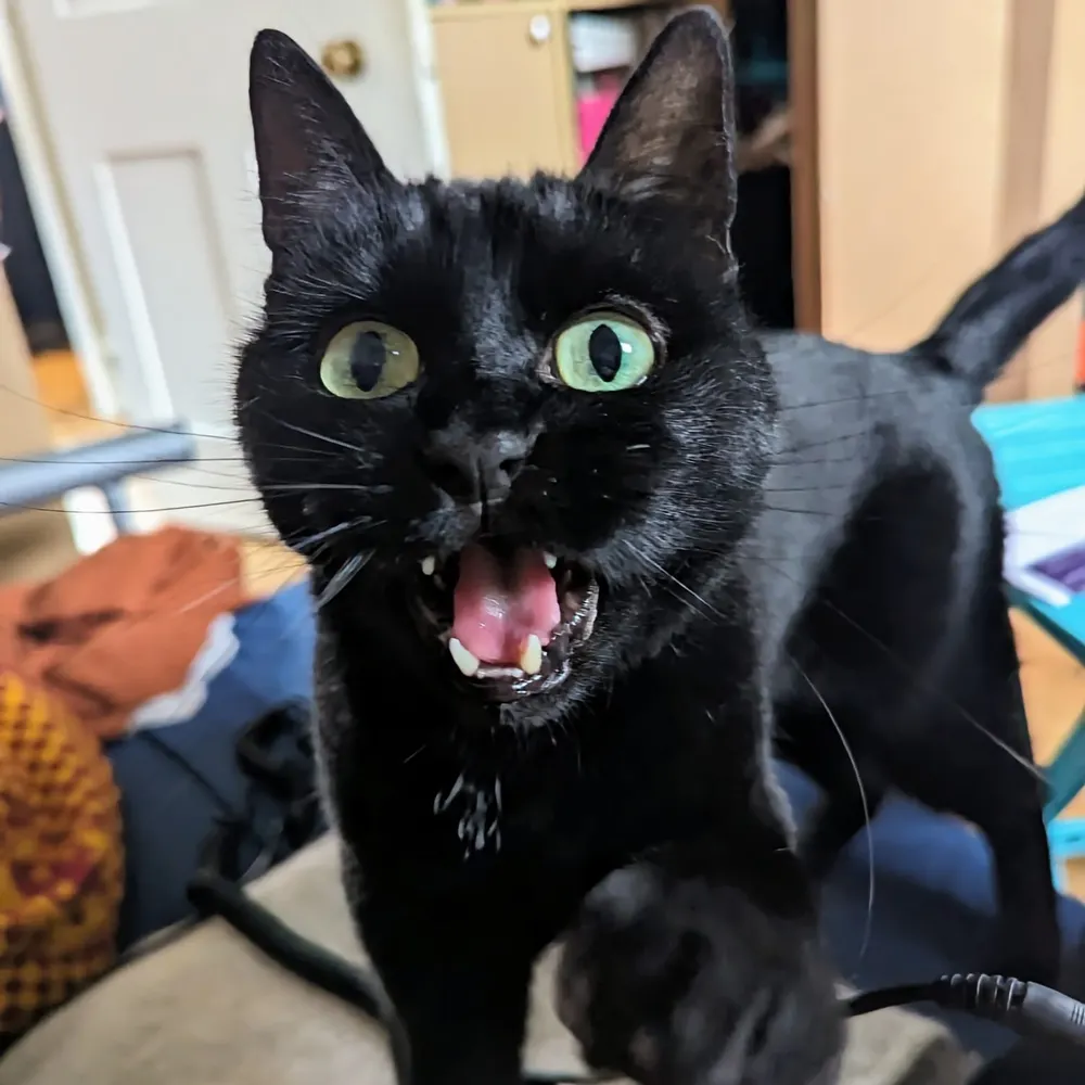 tomslatter.bsky.social's profile picture