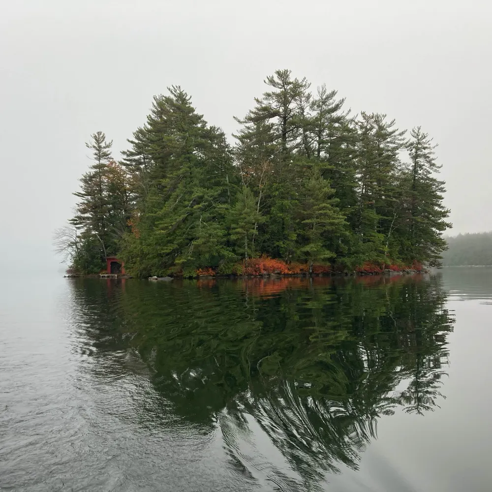 johnnyvector.bsky.social's profile picture