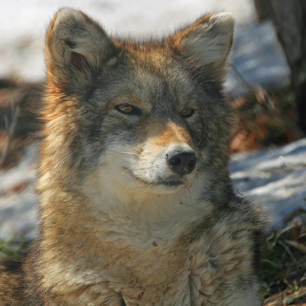 reeidly.bsky.social's profile picture