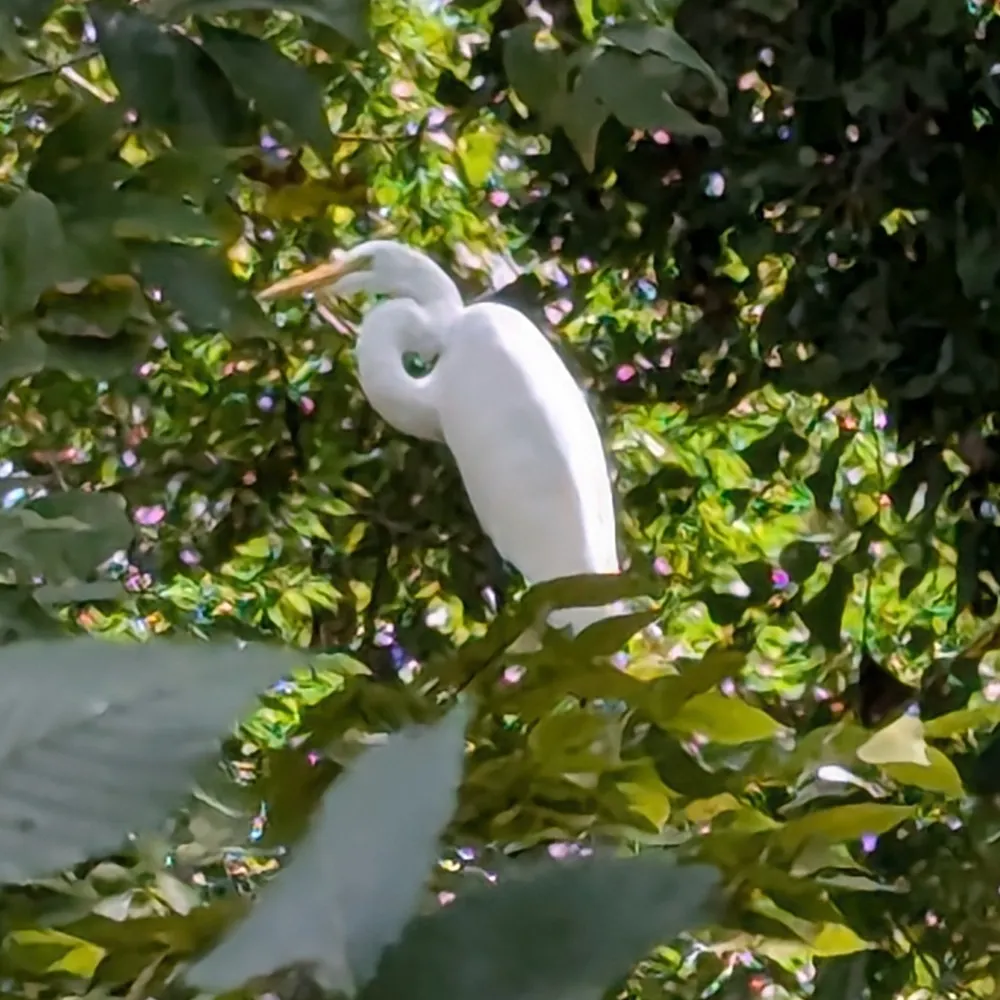 cal2neb.bsky.social's profile picture