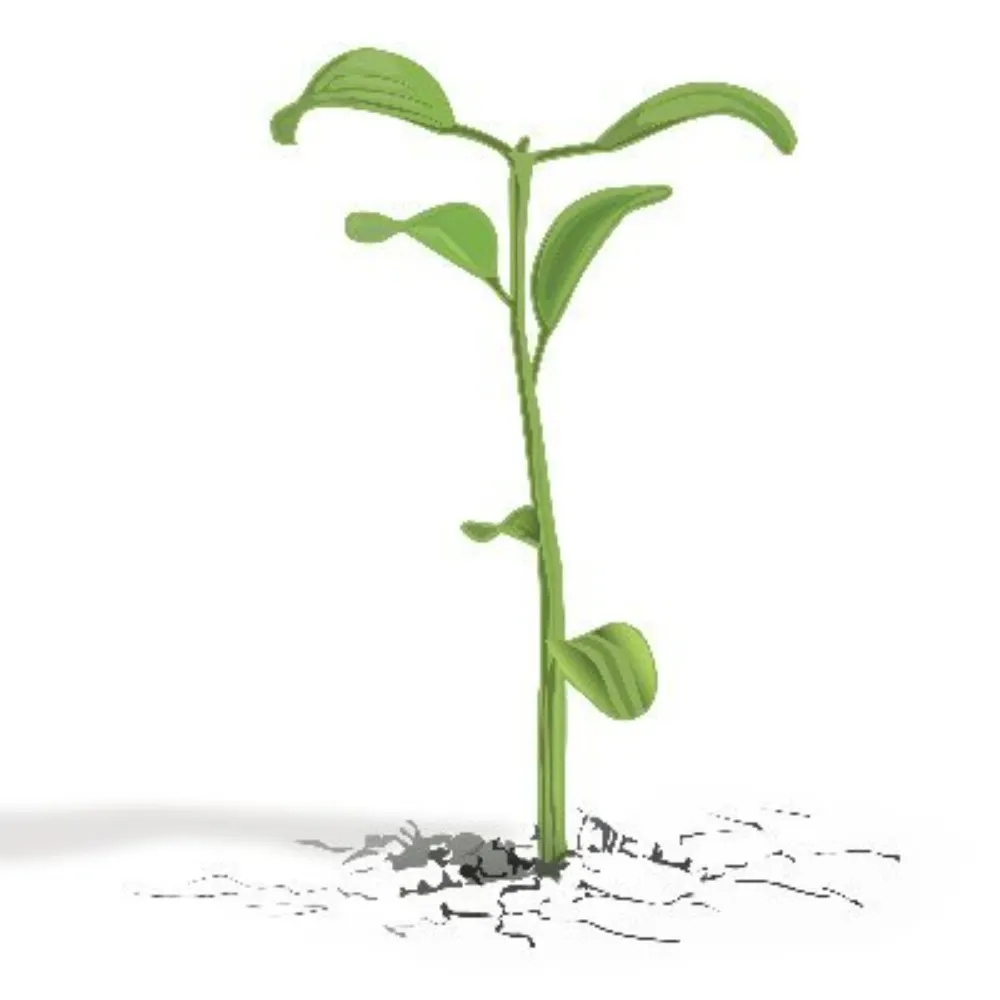 polphilpod.bsky.social's profile picture