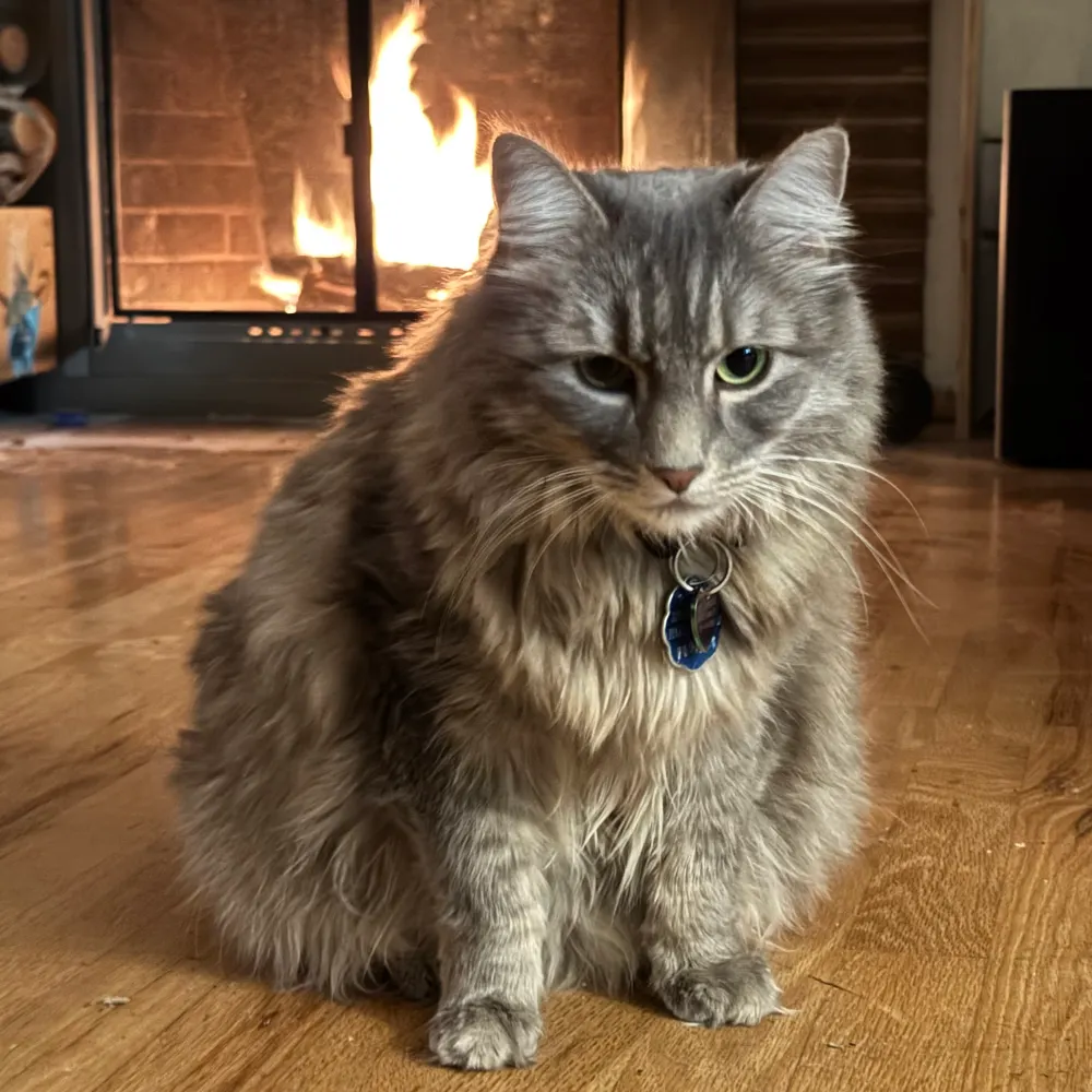 technolust.bsky.social's profile picture