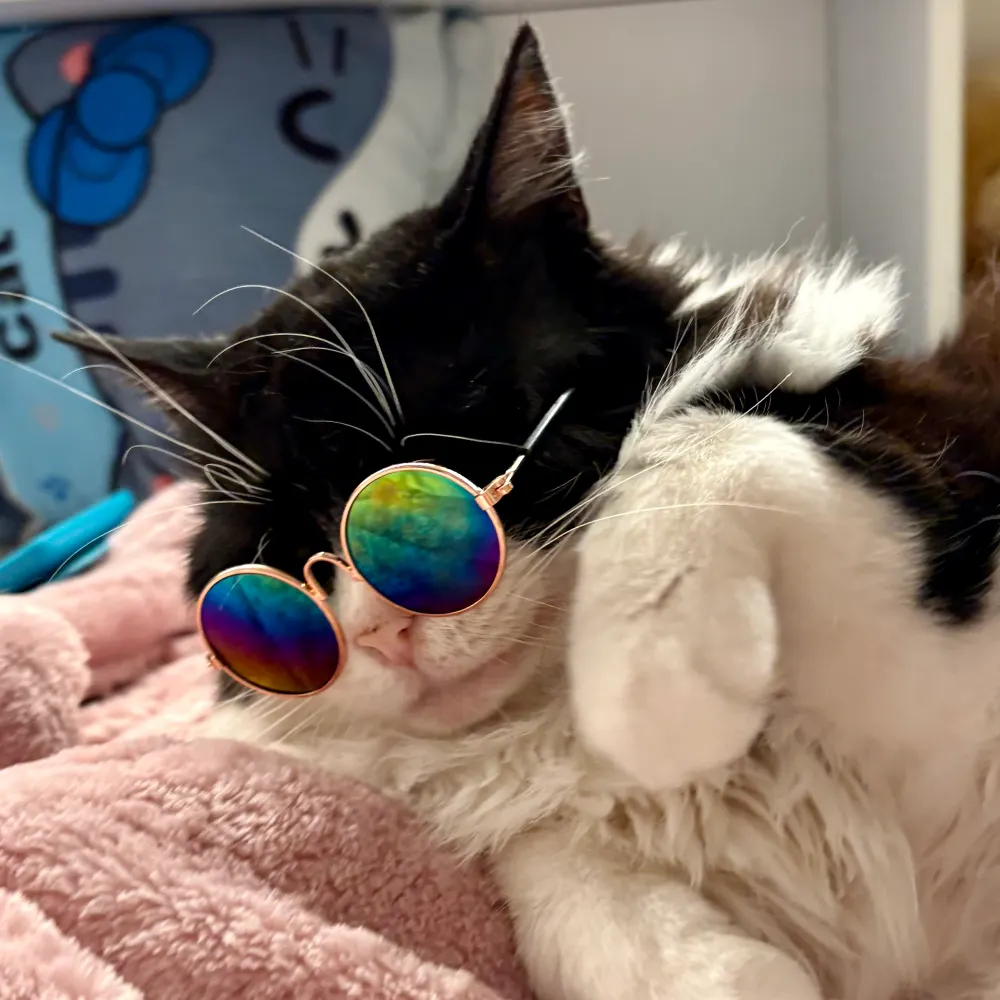 jonnyw.bsky.social's profile picture