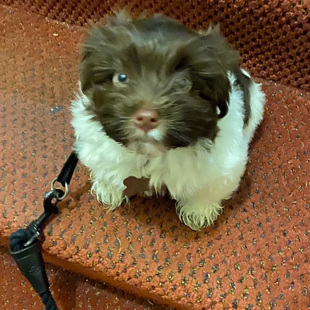 sherlocksdad.bsky.social's profile picture