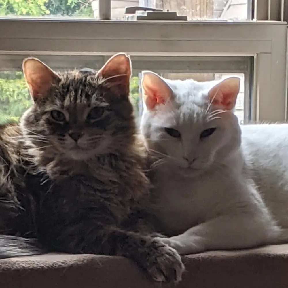 paul.ofthenorth.ca's profile picture