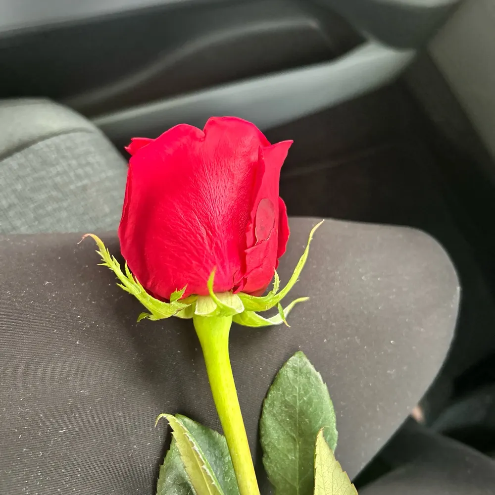 lilbitirish.bsky.social's profile picture