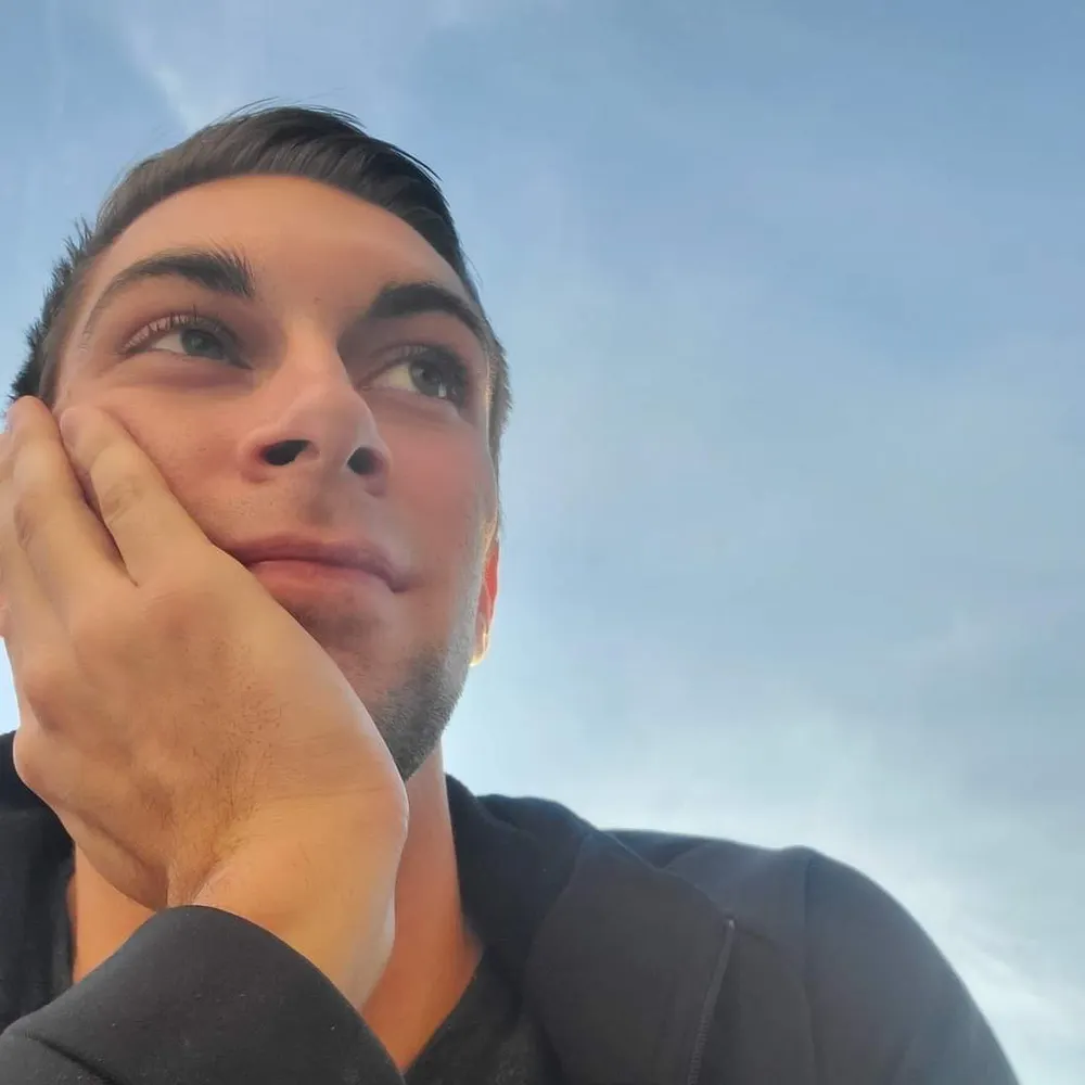 treeperson.bsky.social's profile picture