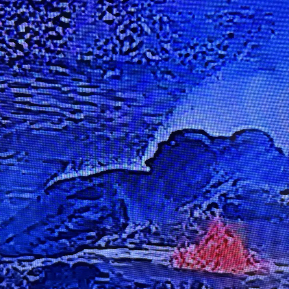 lookingforstuff.bsky.social's profile picture