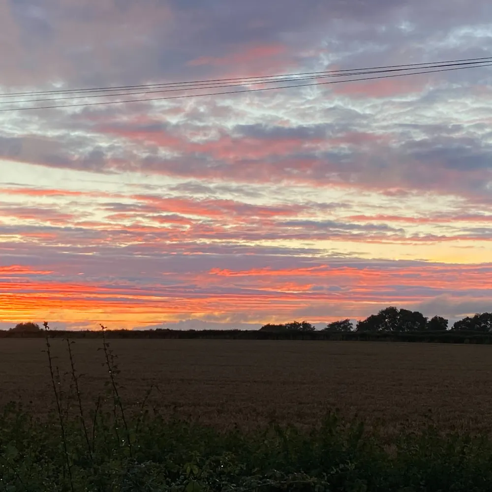 mandy1b.bsky.social's profile picture