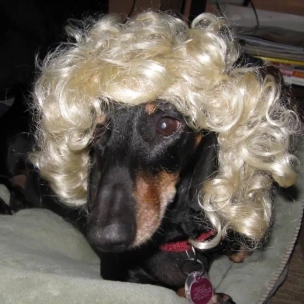 lajfun.bsky.social's profile picture