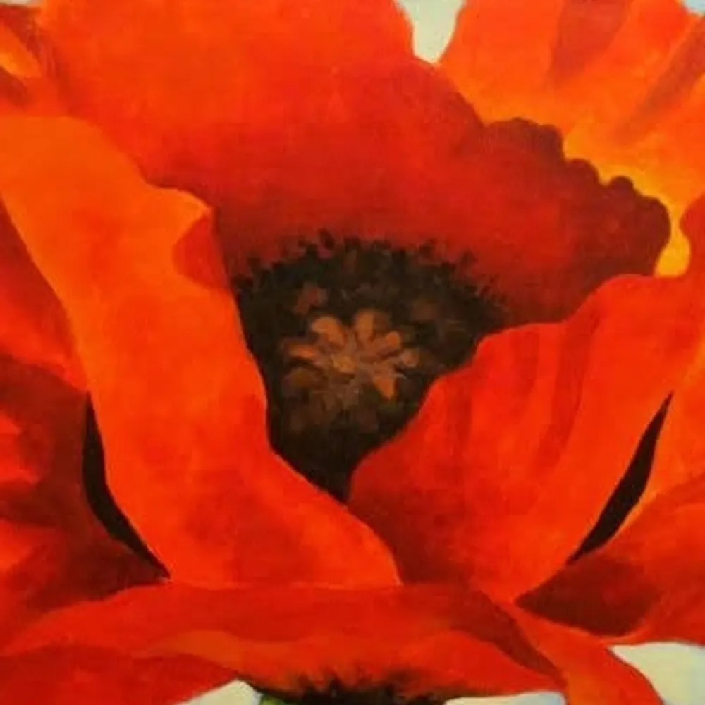 sailebed.bsky.social's profile picture