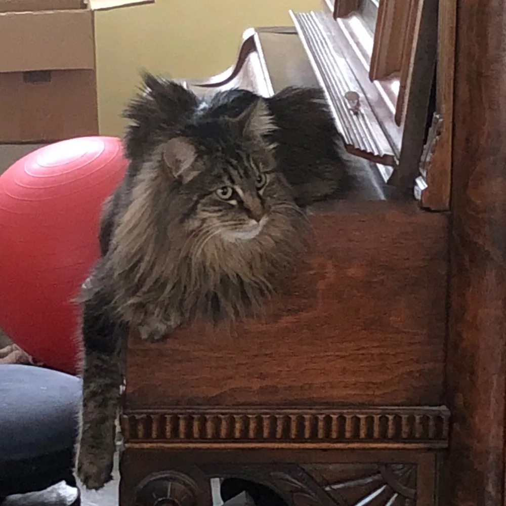 alaskarachel.bsky.social's profile picture