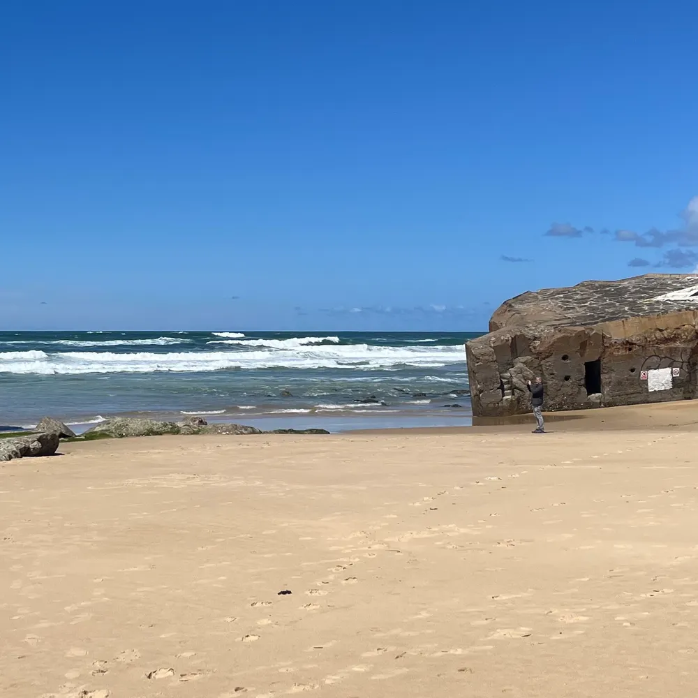 fredorefredora.bsky.social's profile picture