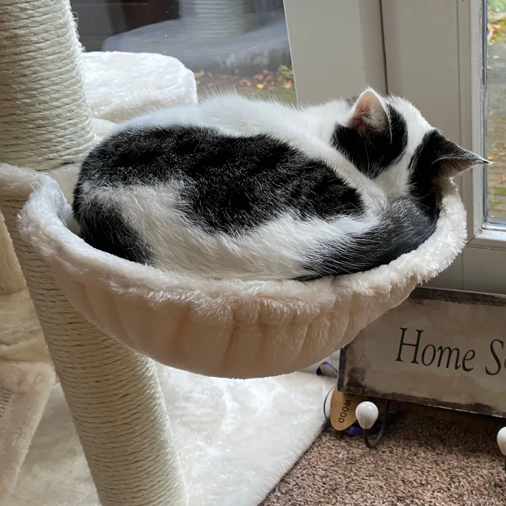 rru.bsky.social's profile picture