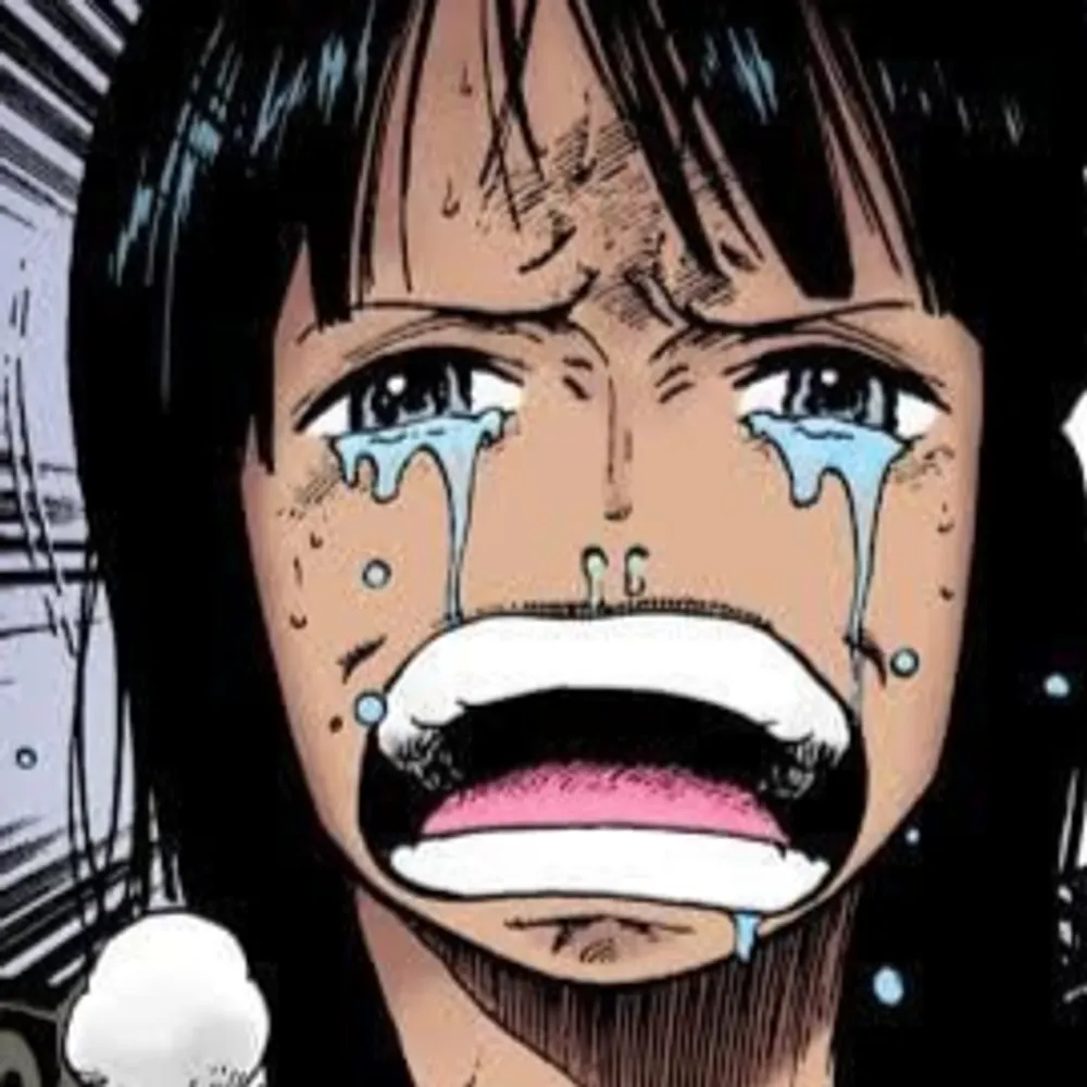 thecommanderfluffy.bsky.social's profile picture