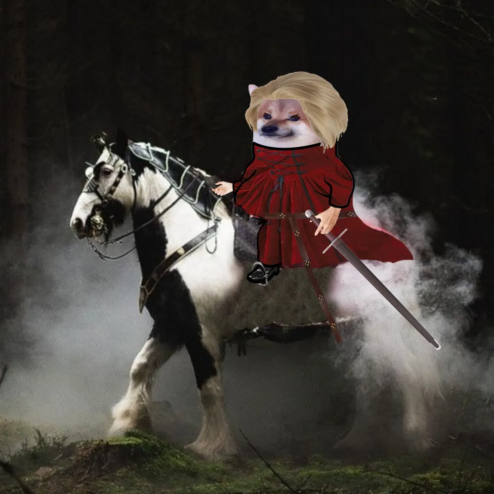 lmnash123.bsky.social's profile picture