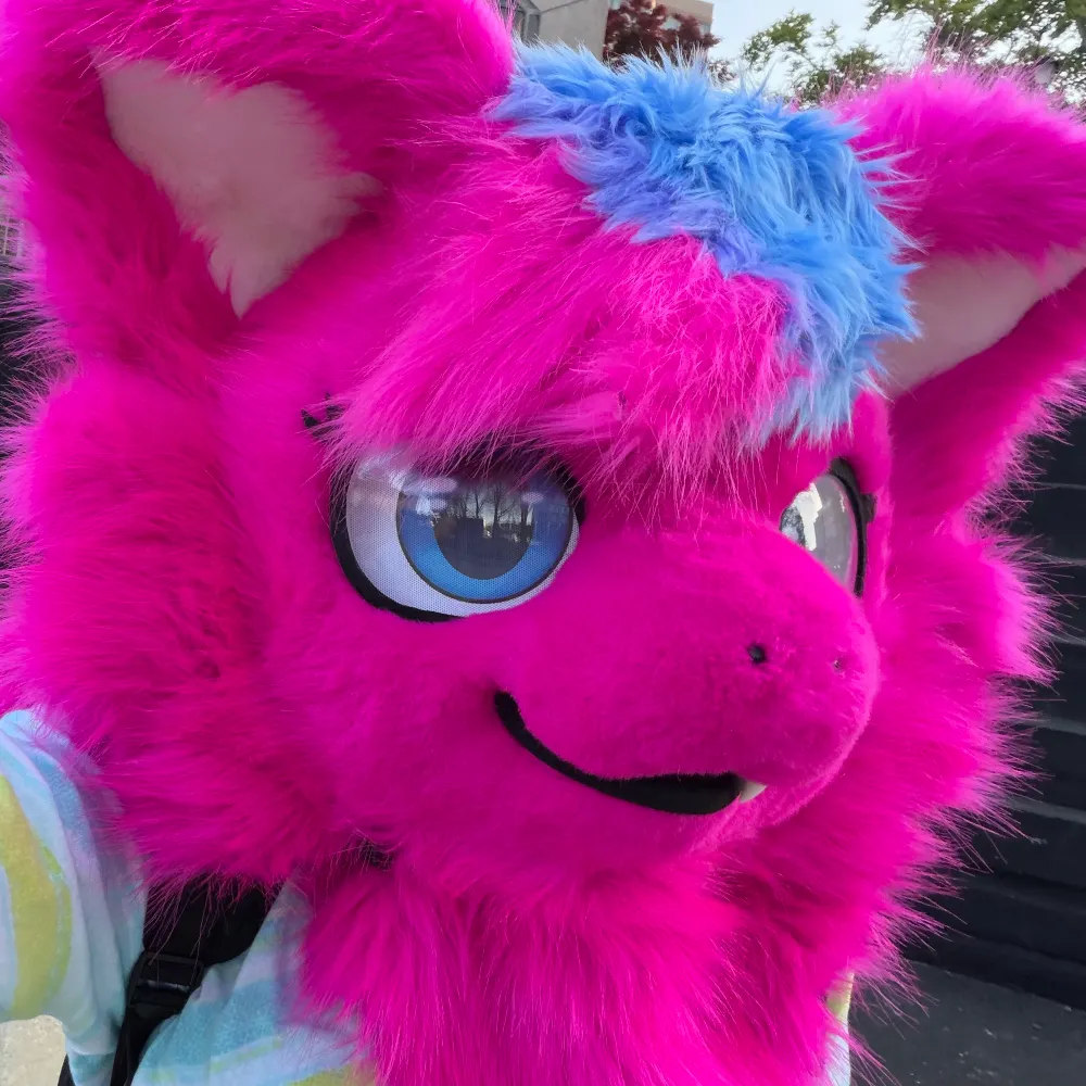 nimbat.bsky.social's profile picture