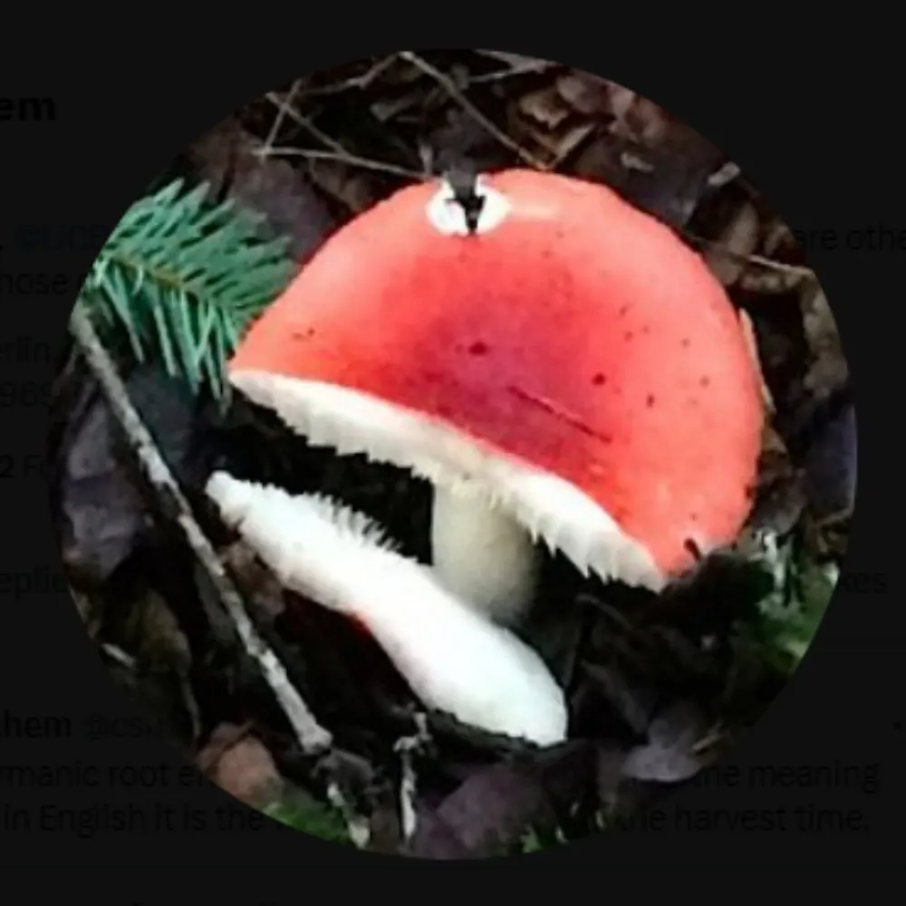 cskwriter.bsky.social's profile picture