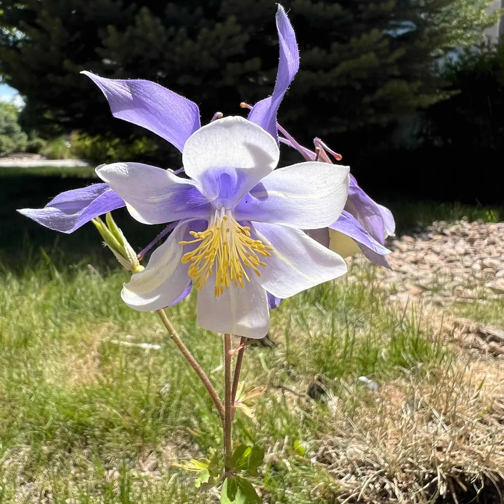 doccrock27.bsky.social's profile picture