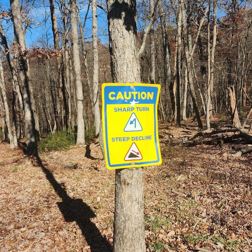 coolcat2305.bsky.social's profile picture