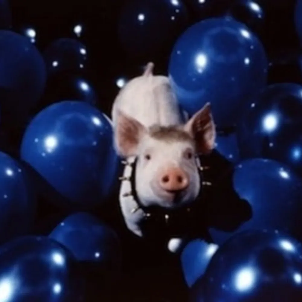 piginthecityfan.bsky.social's profile picture