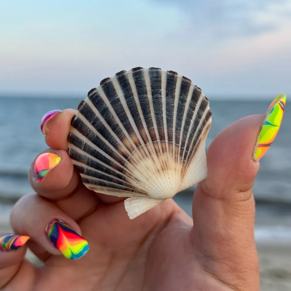 punkrockscience.bsky.social's profile picture