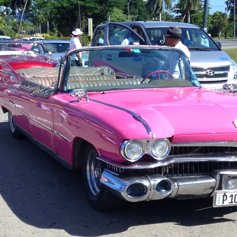 flamingogrrl.bsky.social's profile picture