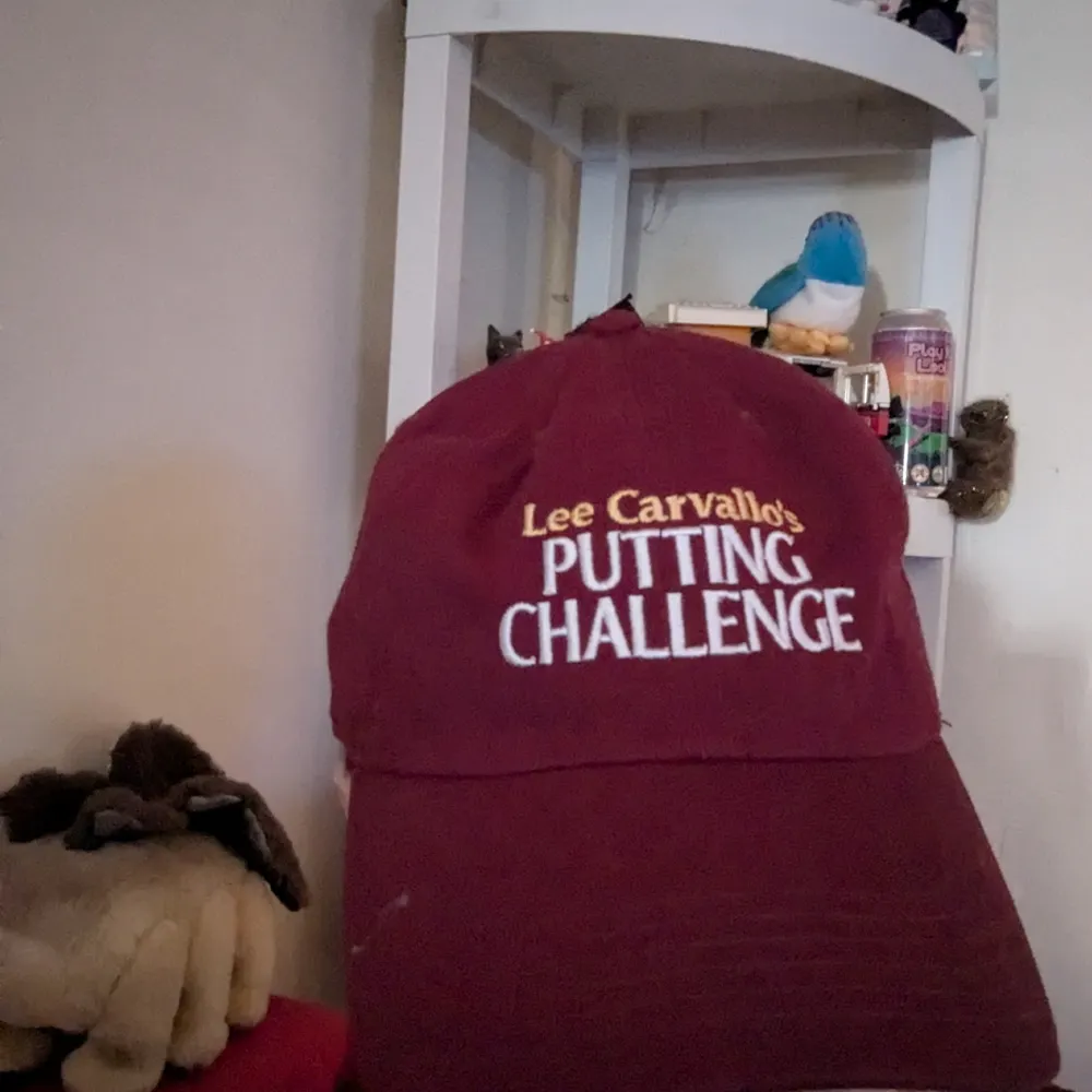 drsparklefairy.bsky.social's profile picture