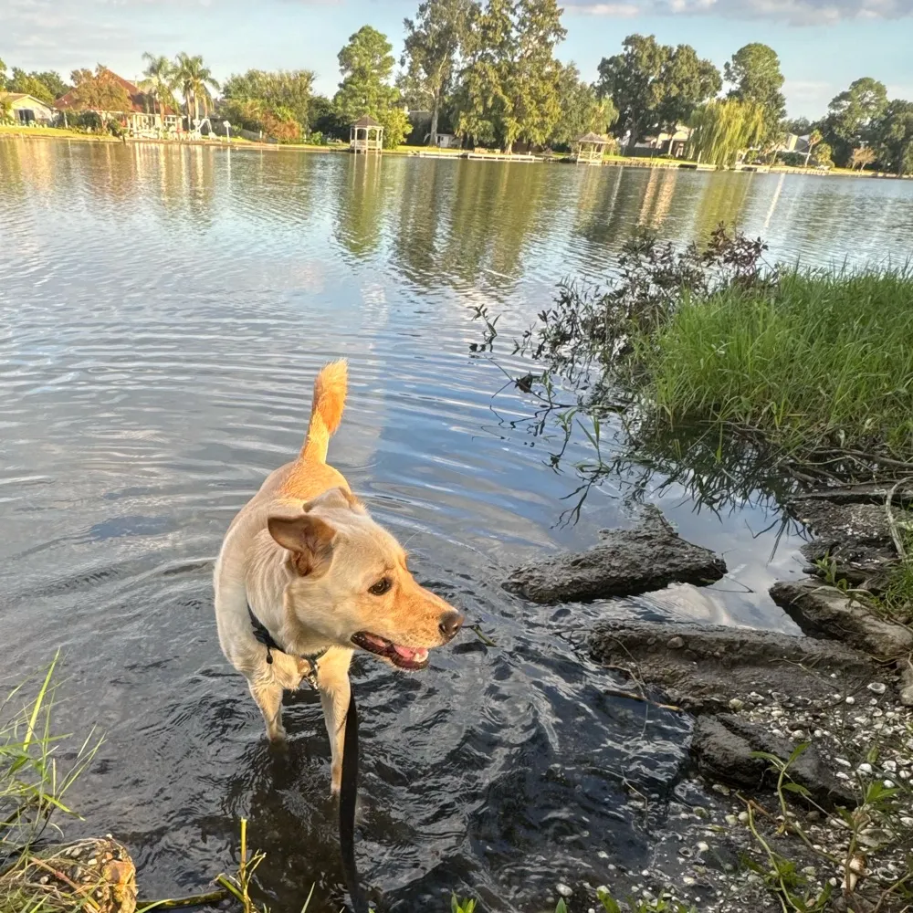 lelonola.bsky.social's profile picture