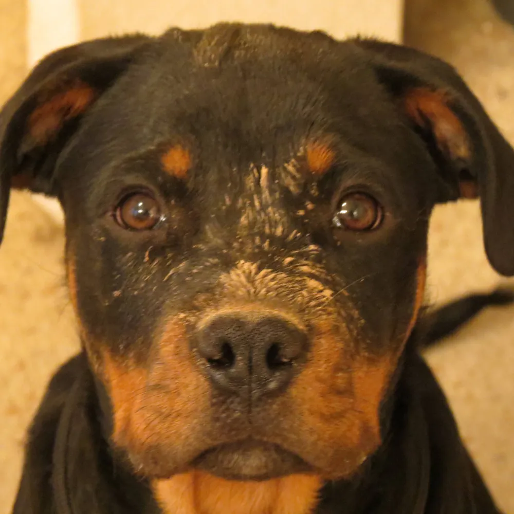 ancientactivist.bsky.social's profile picture