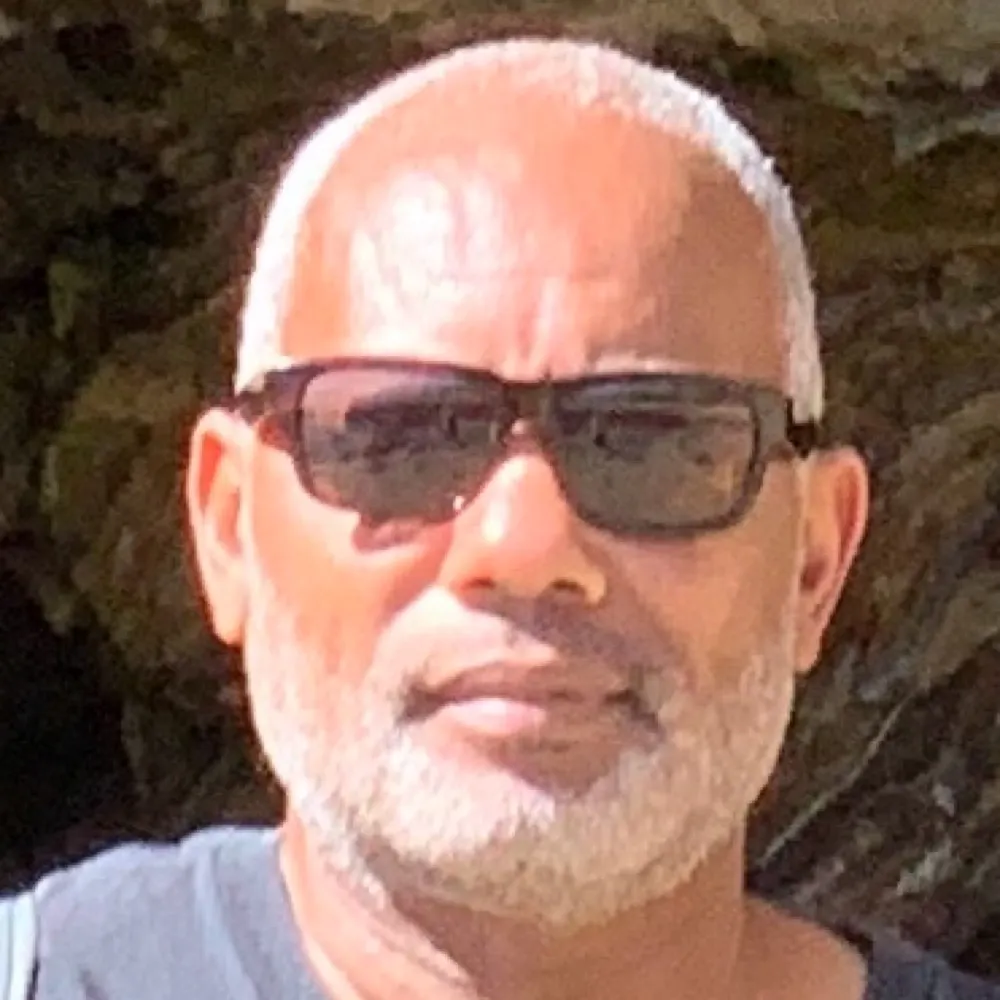 surfesq.bsky.social's profile picture