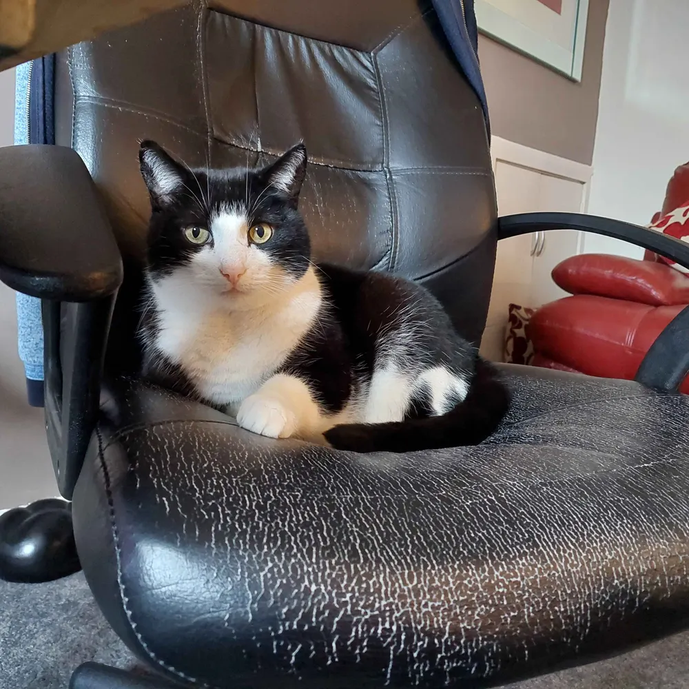 theliesofbryan.bsky.social's profile picture