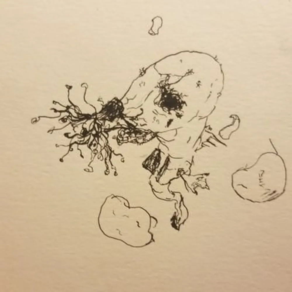 bigemptycabinet.bsky.social's profile picture